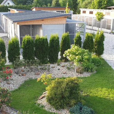 Apartman V Centru Kralovstvi Sov Kraliky Exterior photo